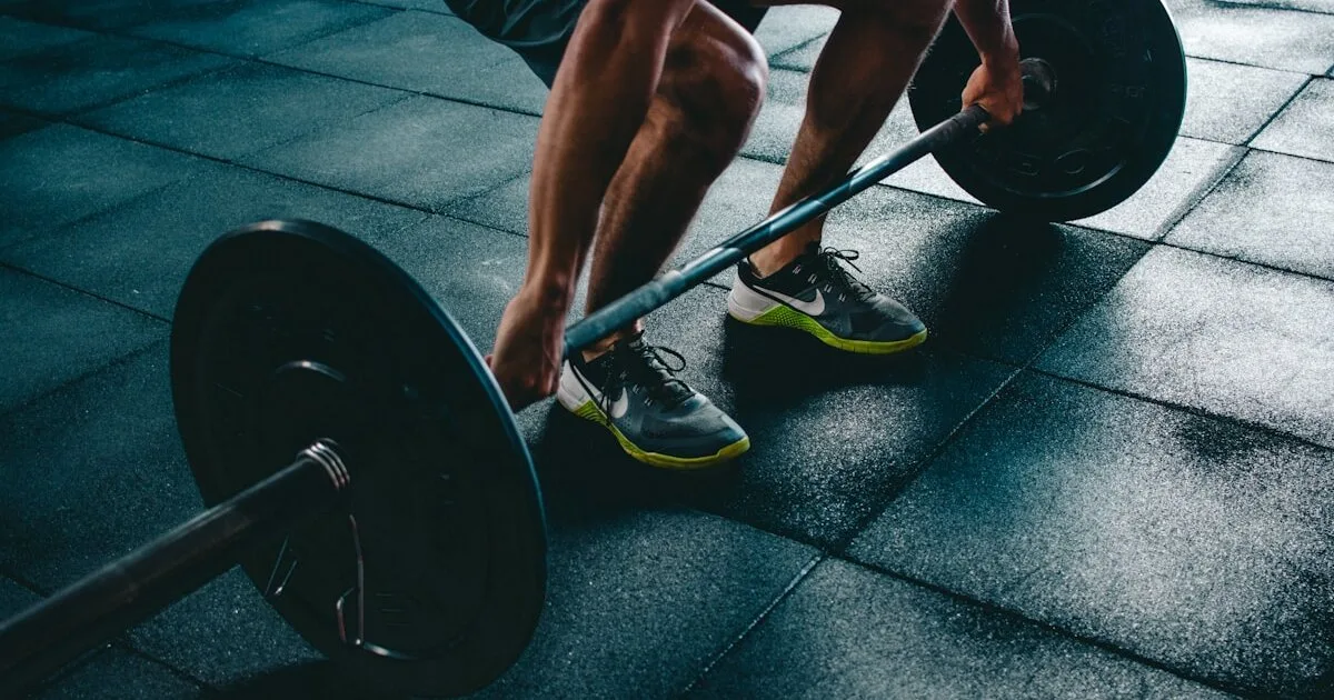 Como Calcular Metabolismo Basal (TMB) e Gasto Calórico Diário