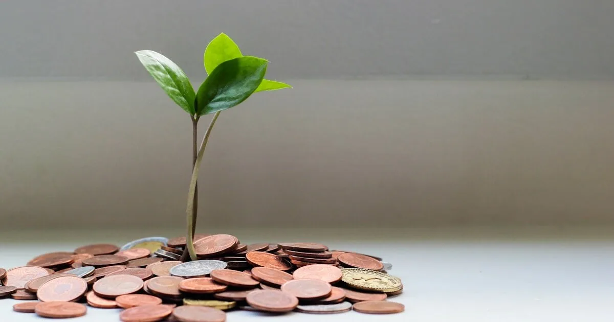 Juros Compostos: O Guia Definitivo para Fazer Seu Dinheiro Render