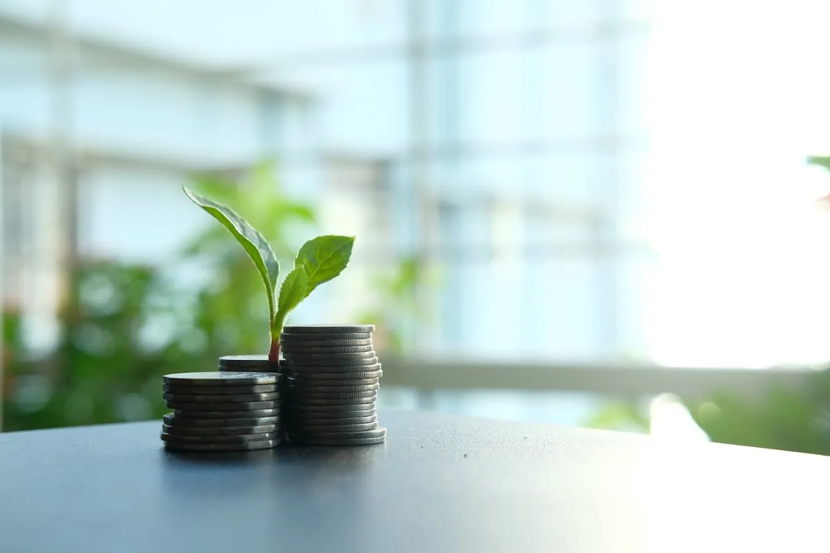 Os 5 Melhores Investimentos de Renda Fixa em 2026