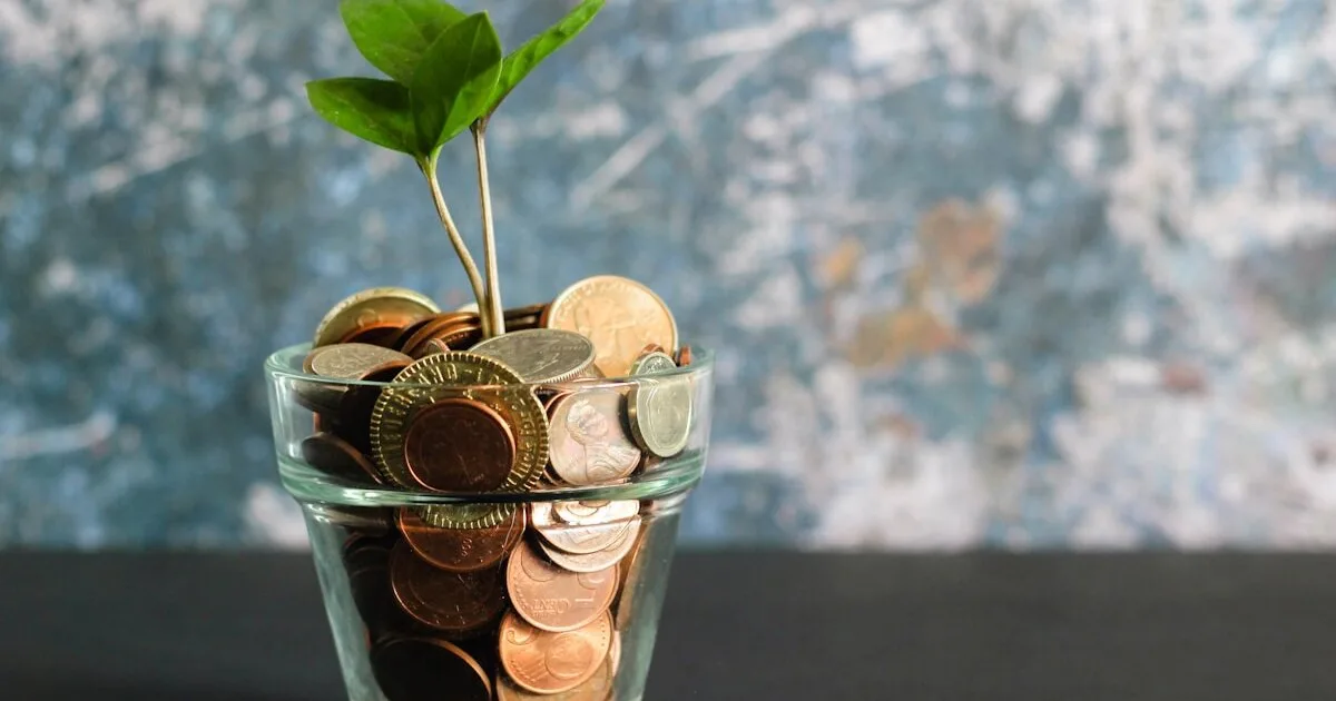 Quanto Guardar Por Mês Para Se Aposentar: Simulações Por Idade e Renda Desejada